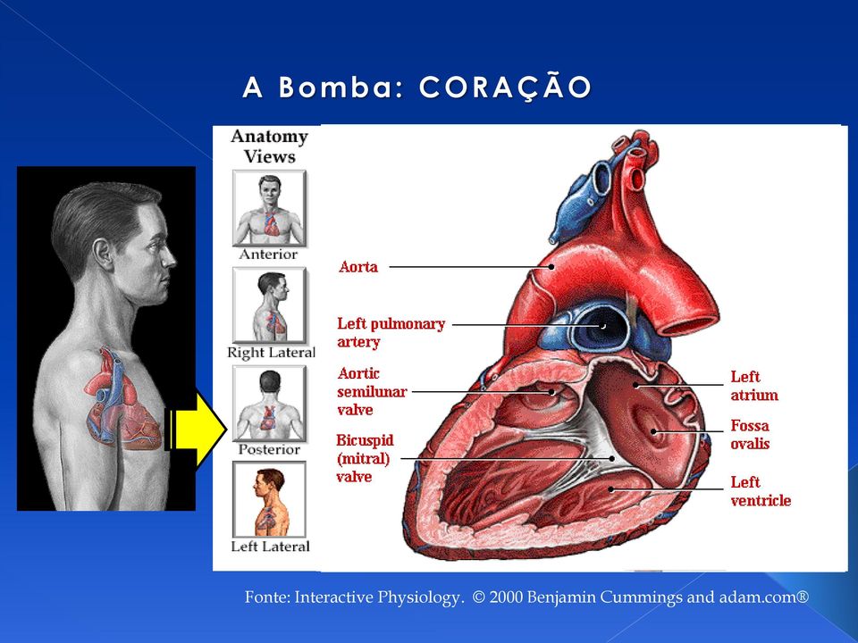 Physiology.