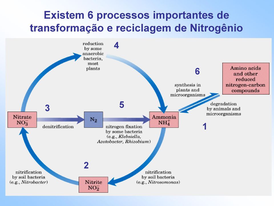 transformação e