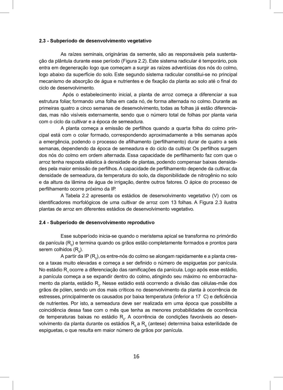 Este segundo sistema radicular constitui-se no principal mecanismo de absorção de água e nutrientes e de fixação da planta ao solo até o final do ciclo de desenvolvimento.