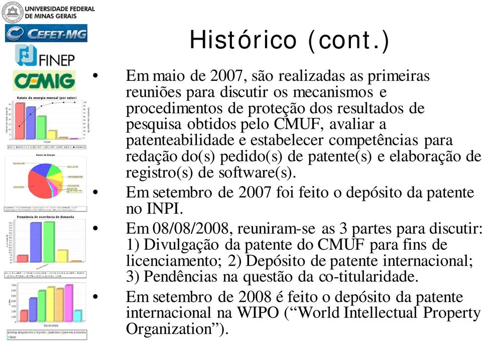 patenteabilidade e estabelecer competências para redação do(s) pedido(s) de patente(s) e elaboração de registro(s) de software(s).