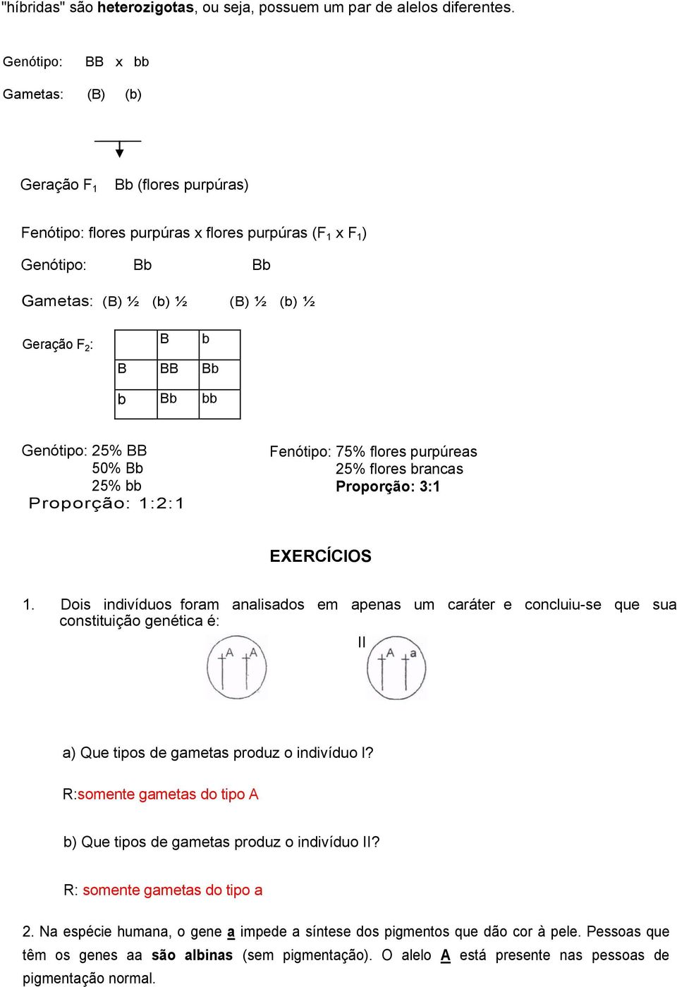 b Bb bb Genótipo: 25% BB 50% Bb 25% bb Proporção: 1:2:1 Fenótipo: 75% flores purpúreas 25% flores brancas Proporção: 3:1 EXERCÍCIOS 1.