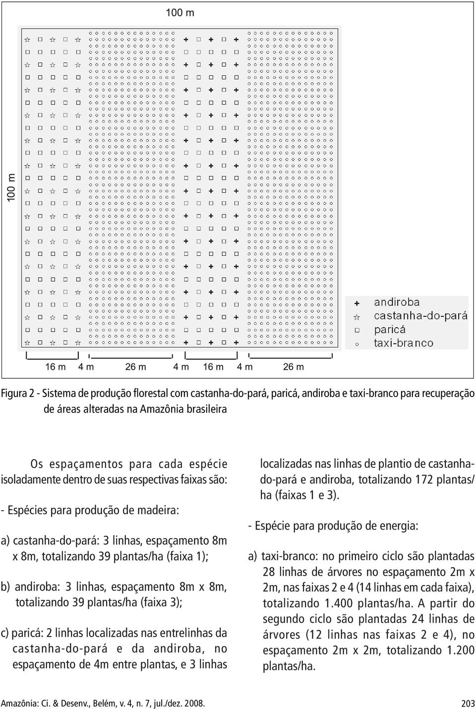 8m x 8m, totalizando 39 plantas/ha (faixa 3); c) paricá: 2 linhas localizadas nas entrelinhas da castanha-do-pará e da andiroba, no espaçamento de 4m entre plantas, e 3 linhas localizadas nas linhas