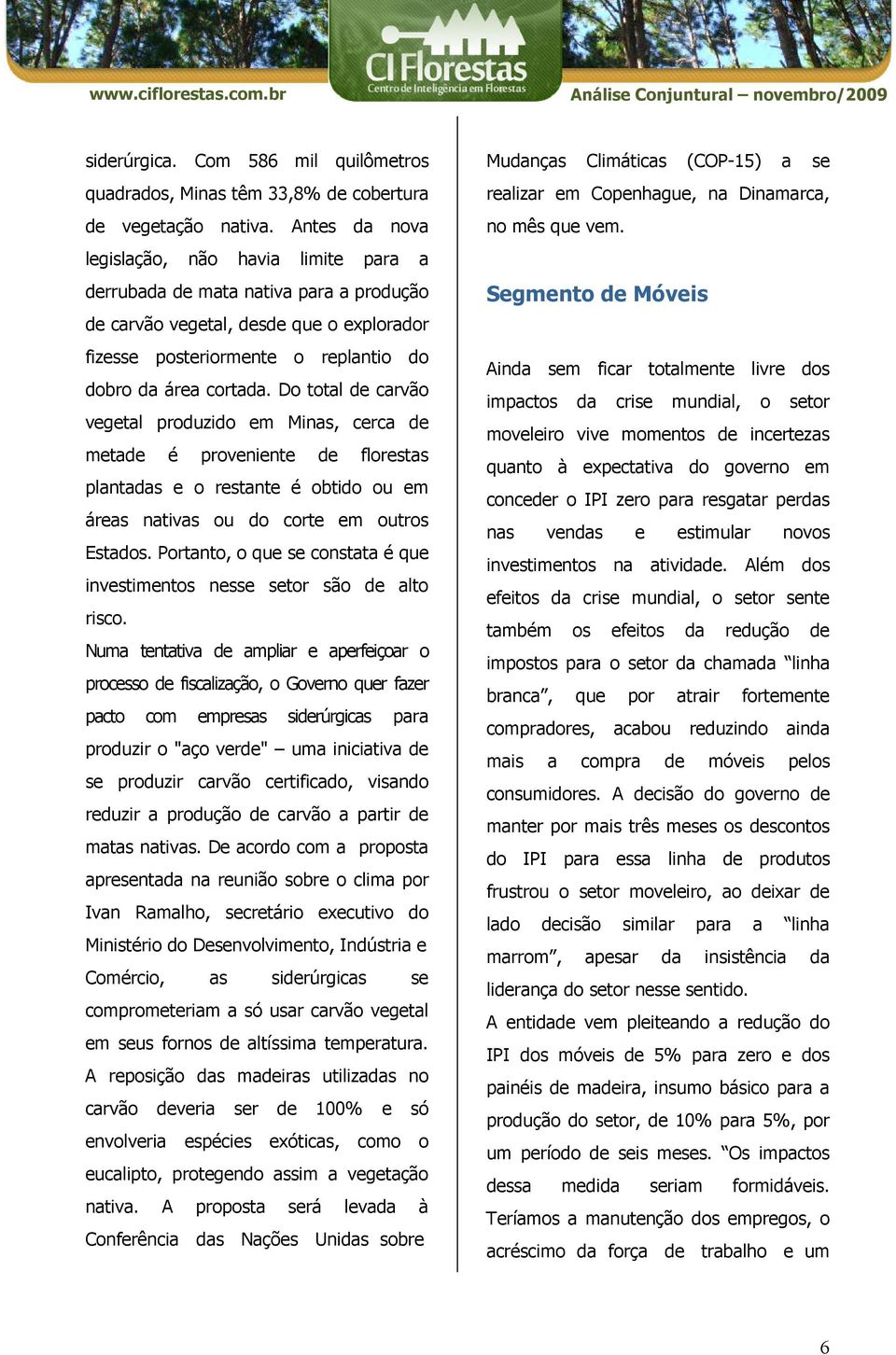 Do total de carvão vegetal produzido em Minas, cerca de metade é proveniente de florestas plantadas e o restante é obtido ou em áreas nativas ou do corte em outros Estados.