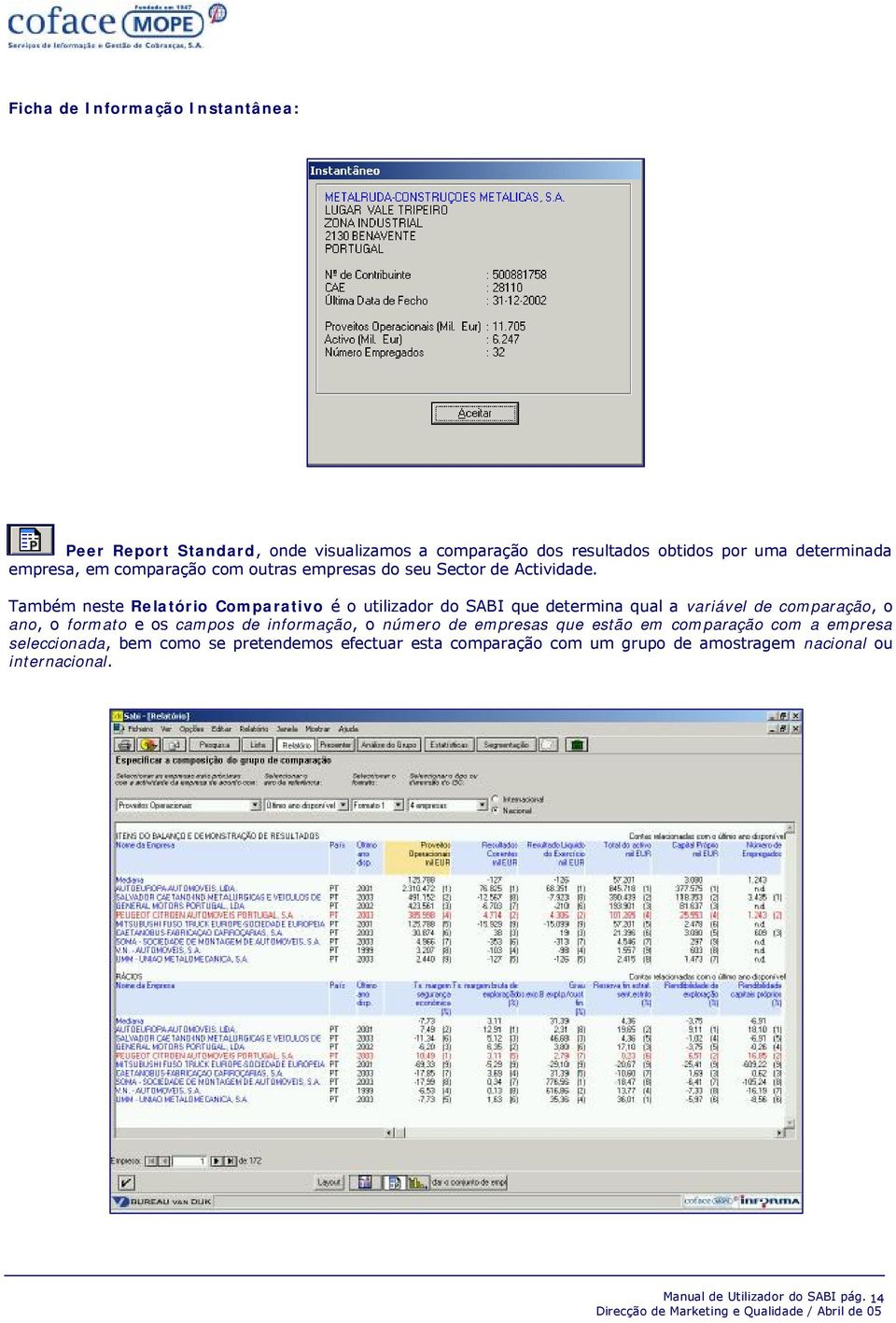 Também neste Relatório Comparativo é o utilizador do SABI que determina qual a variável de comparação, o ano, o formato e os campos de