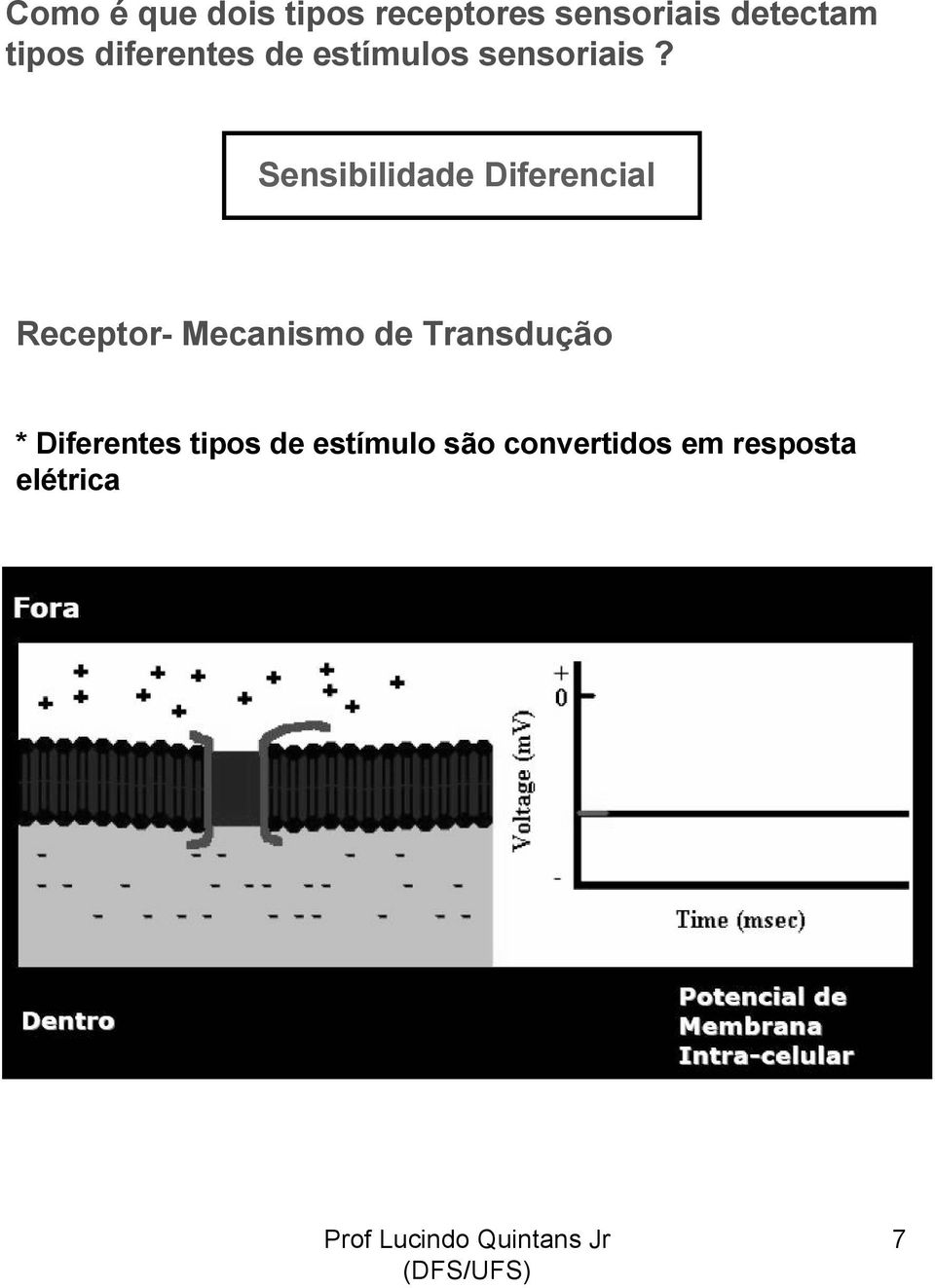 Sensibilidade Diferencial Receptor- Mecanismo de