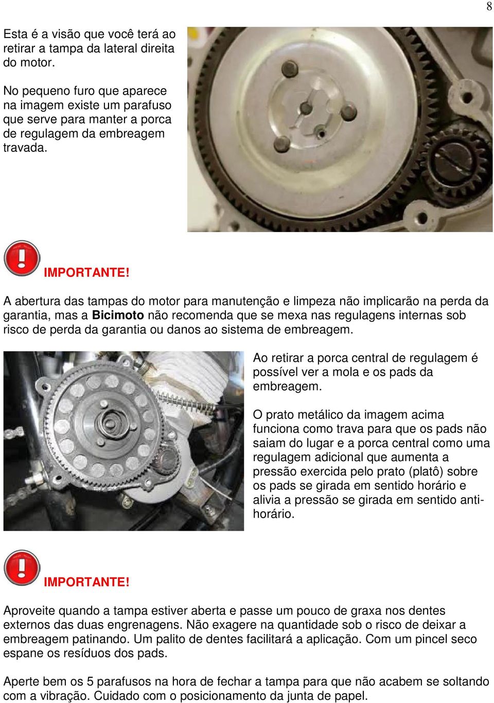 ao sistema de embreagem. Ao retirar a porca central de regulagem é possível ver a mola e os pads da embreagem.