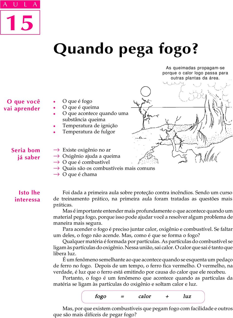 queima O que é combustíve Quais são os combustíveis mais comuns O que é chama Isto he interessa Foi dada a primeira aua sobre proteção contra incêndios.