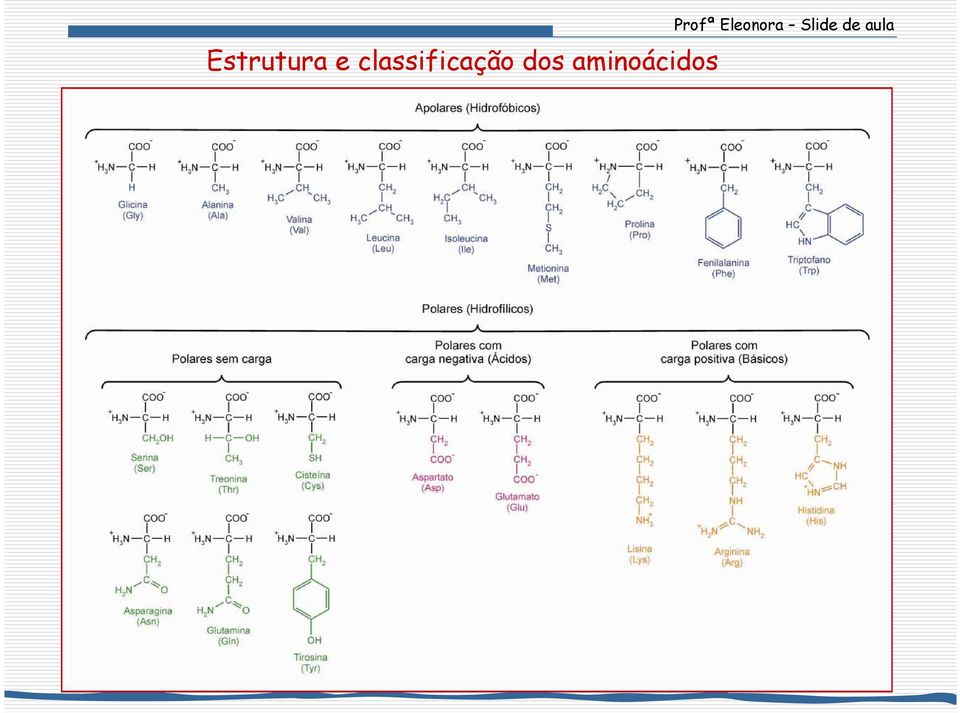 aminoácidos Profª