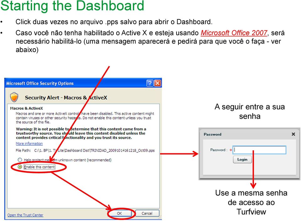 Caso você não tenha habilitado o Active X e esteja usando Microsoft Office 2007,