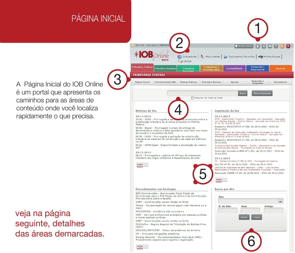 conteúdo onde você localiza rapidamente o que precisa.