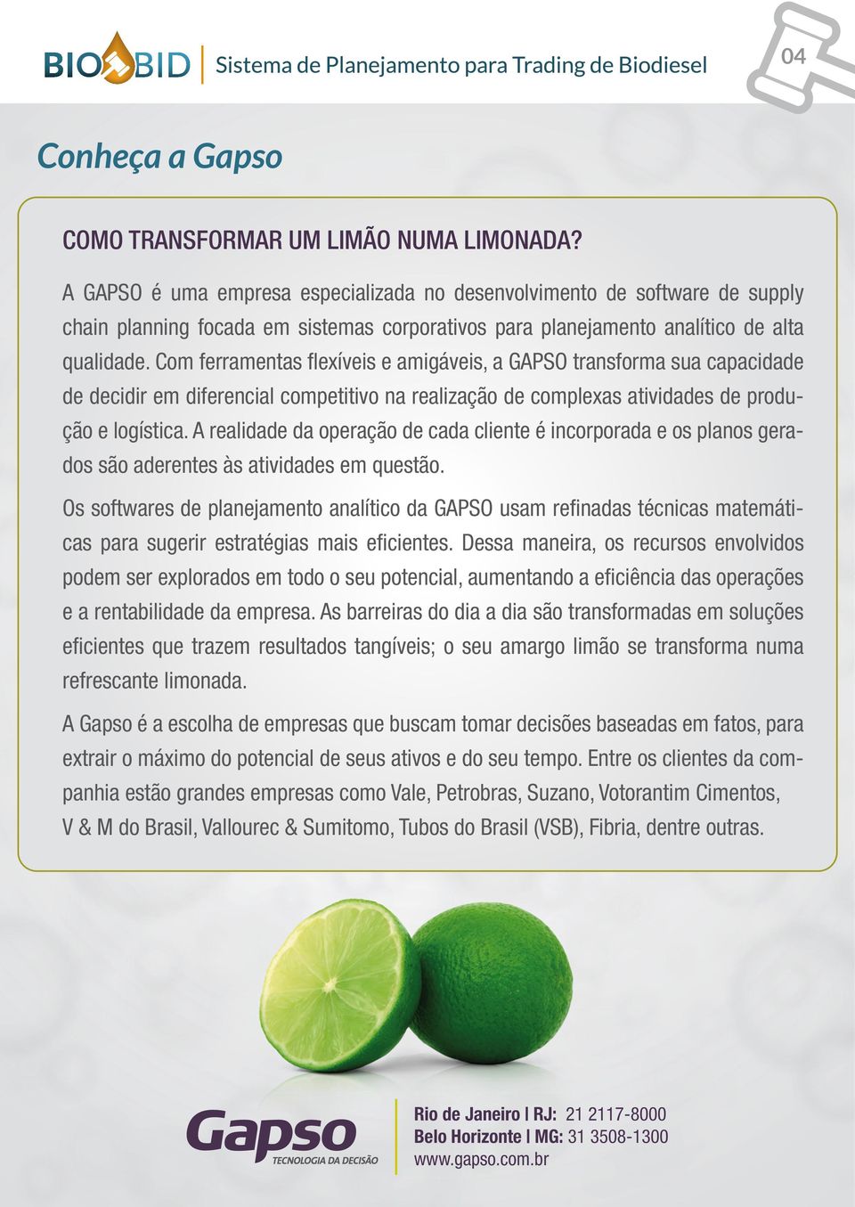 Com ferramentas flexíveis e amigáveis, a GAPSO transforma sua capacidade de decidir em diferencial competitivo na realização de complexas atividades de produção e logística.