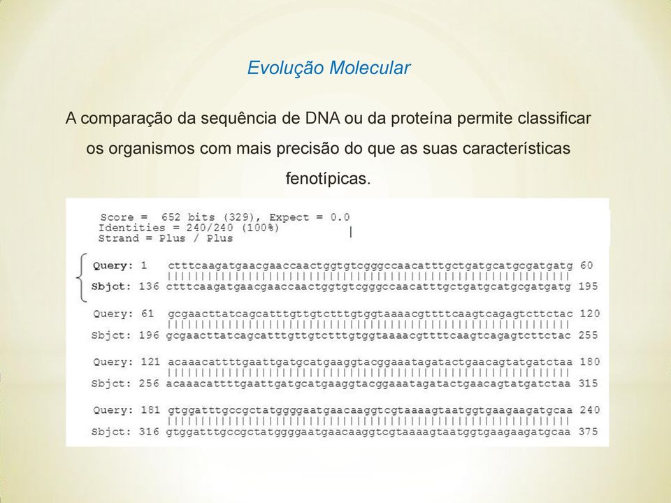 classificar os organismos com mais