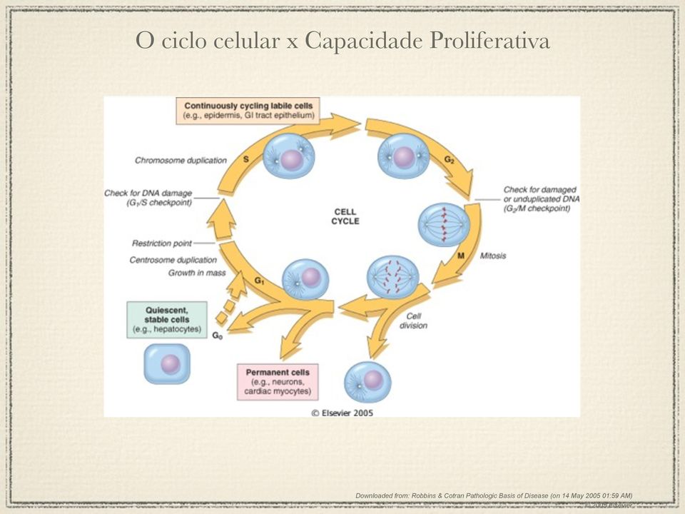 Robbins & Cotran Pathologic Basis