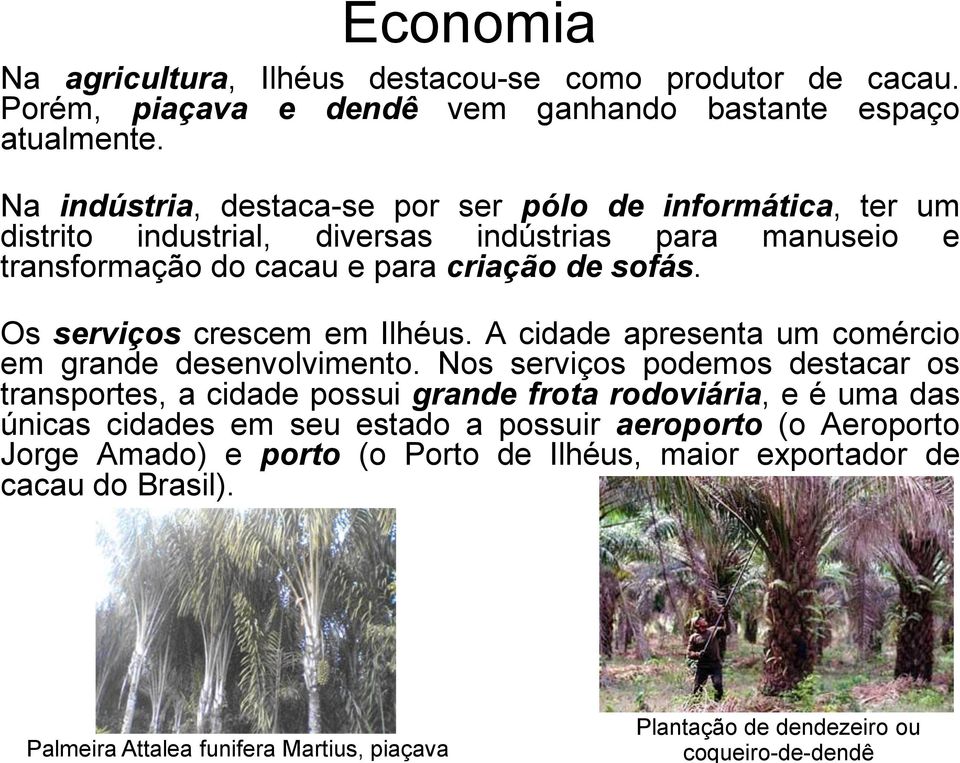 indústrias para manuseio e transformação do cacau e para criação de sofás. Os serviços crescem em Ilhéus. A cidade apresenta um comércio em grande desenvolvimento.