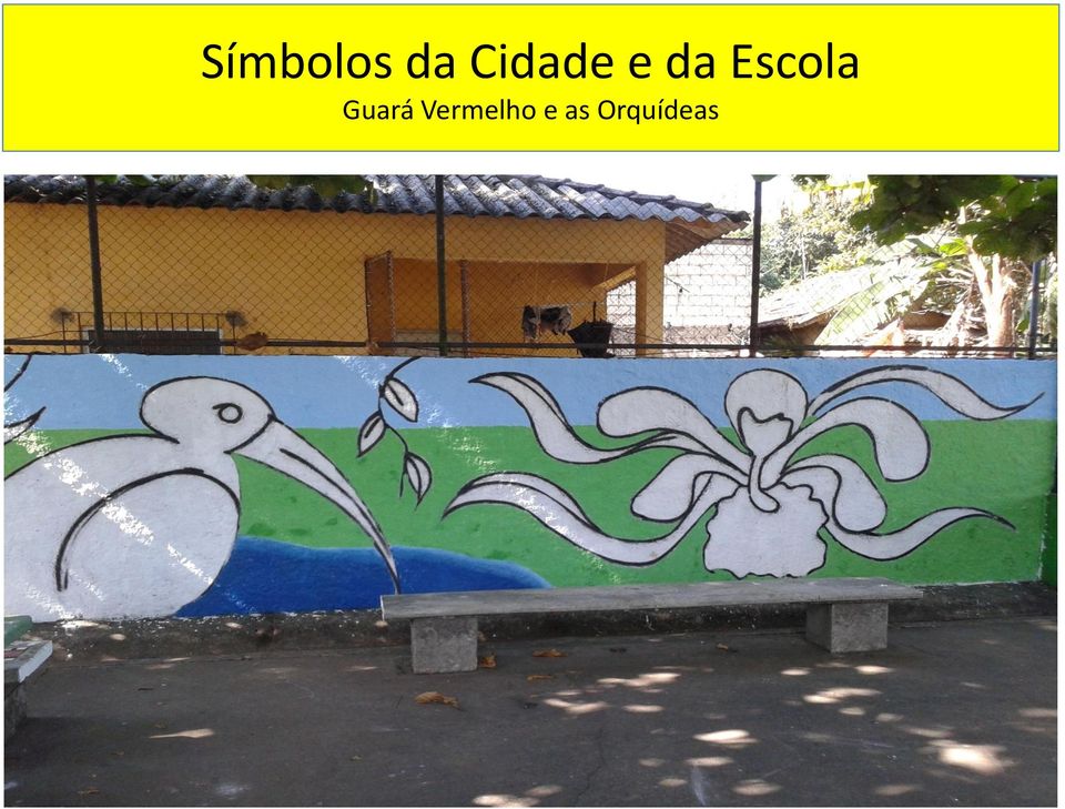 Escola Guará