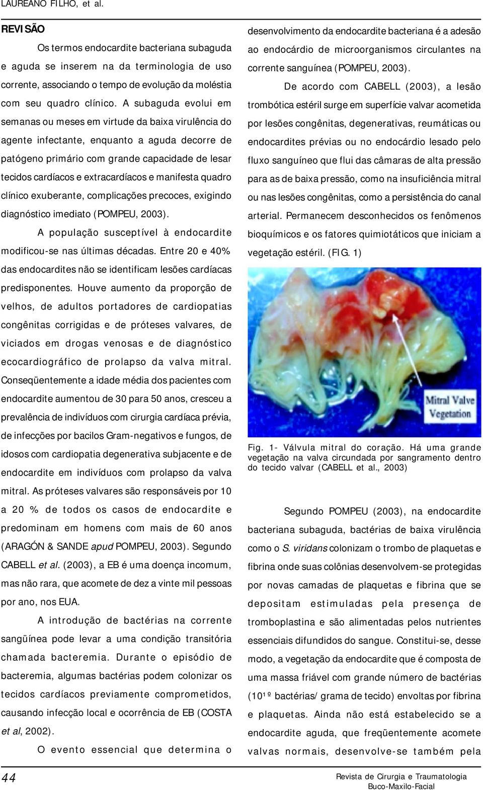 extracardíacos e manifesta quadro clínico exuberante, complicações precoces, exigindo diagnóstico imediato (POMPEU, 2003). A população susceptível à endocardite modificou-se nas últimas décadas.