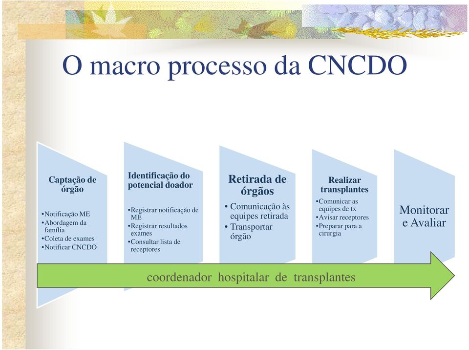 receptores Retirada de órgãos Comunicação às equipes retirada Transportar órgão Realizar transplantes Comunicar