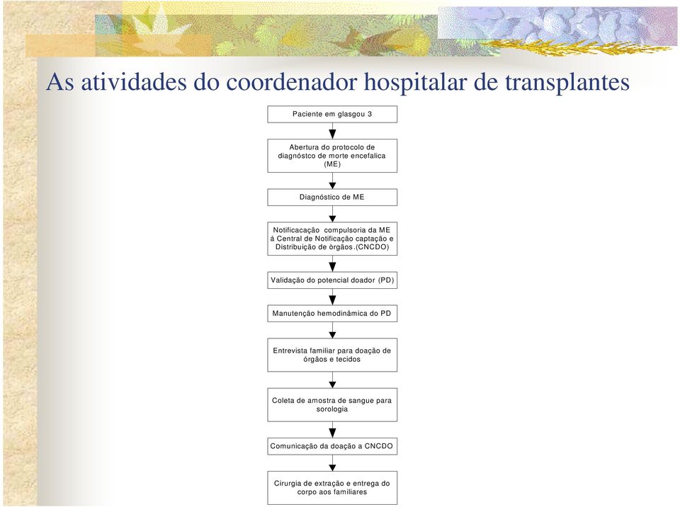 (cncdo) Validação do potencial doador (PD) Manutenção hemodinâmica do PD Entrevista familiar para doação de órgãos e tecidos
