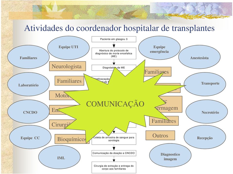 (cncdo) Validação do potencial doador (PD) COMUNICAÇÃO Manutenção hemodinâmica do PD Anestesistas Tec Enfermagem Transporte Necrotério Cirurgiões Entrevista familiar para doação de