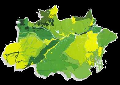 900 ha (48%) Cobertura