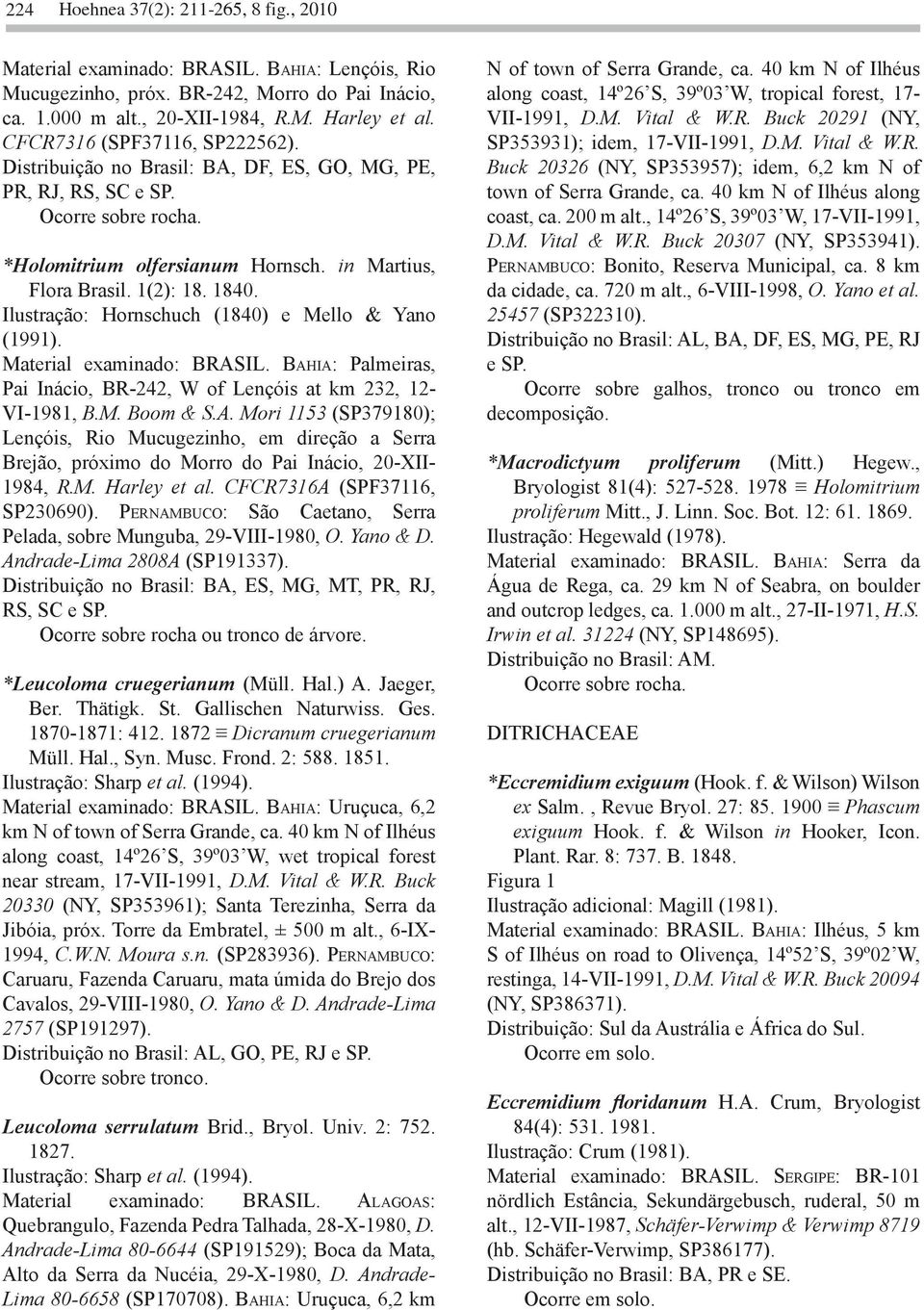 Ilustração: Hornschuch (1840) e Mello & Yano (1991). Material examinado: BRAS