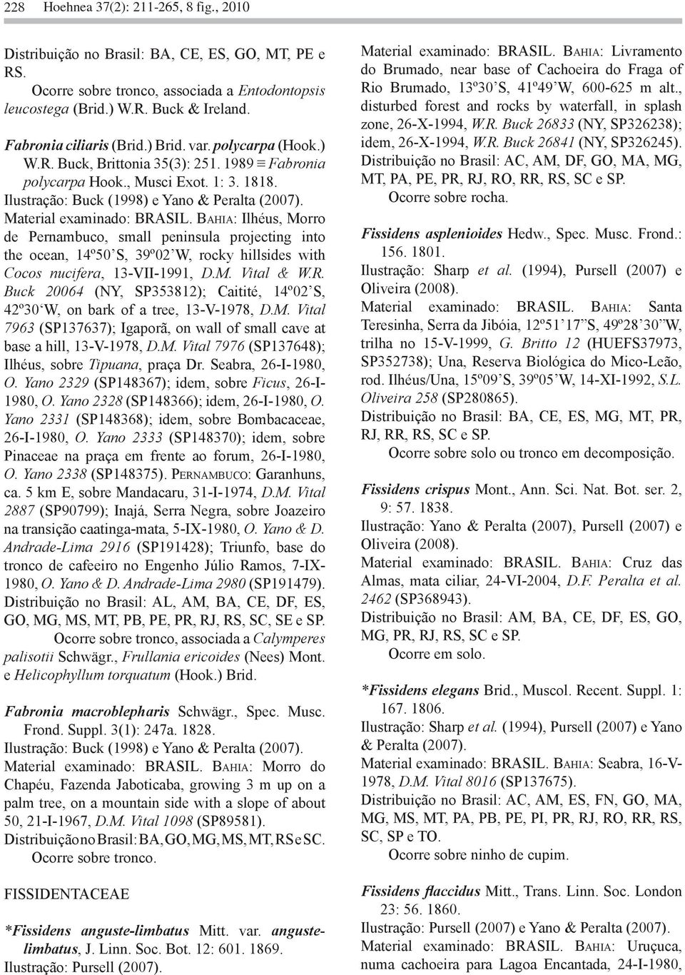 Material examinado: BRASIL. Bahia: Ilhéus, Morro de Pernambuco, small peninsula projecting into the ocean, 14º50 S, 39º02 W, rocky hillsides with Cocos nucifera, 13-VII-1991, D.M. Vital & W.R. Buck 20064 (NY, SP353812); Caitité, 14º02 S, 42º30 W, on bark of a tree, 13-V-1978, D.