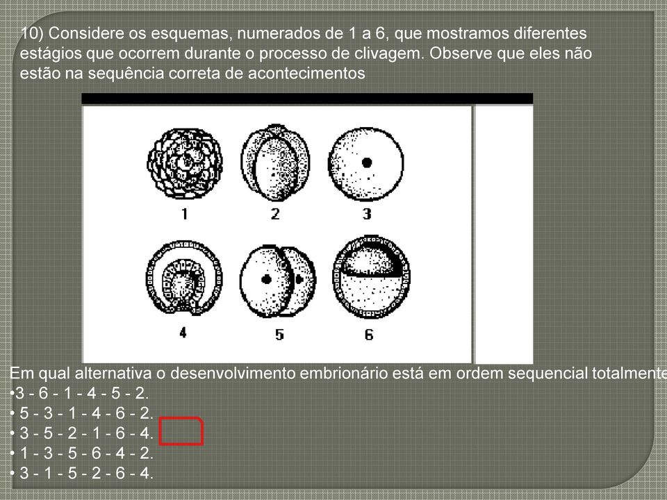 Observe que eles não estão na sequência correta de acontecimentos Em qual alternativa o