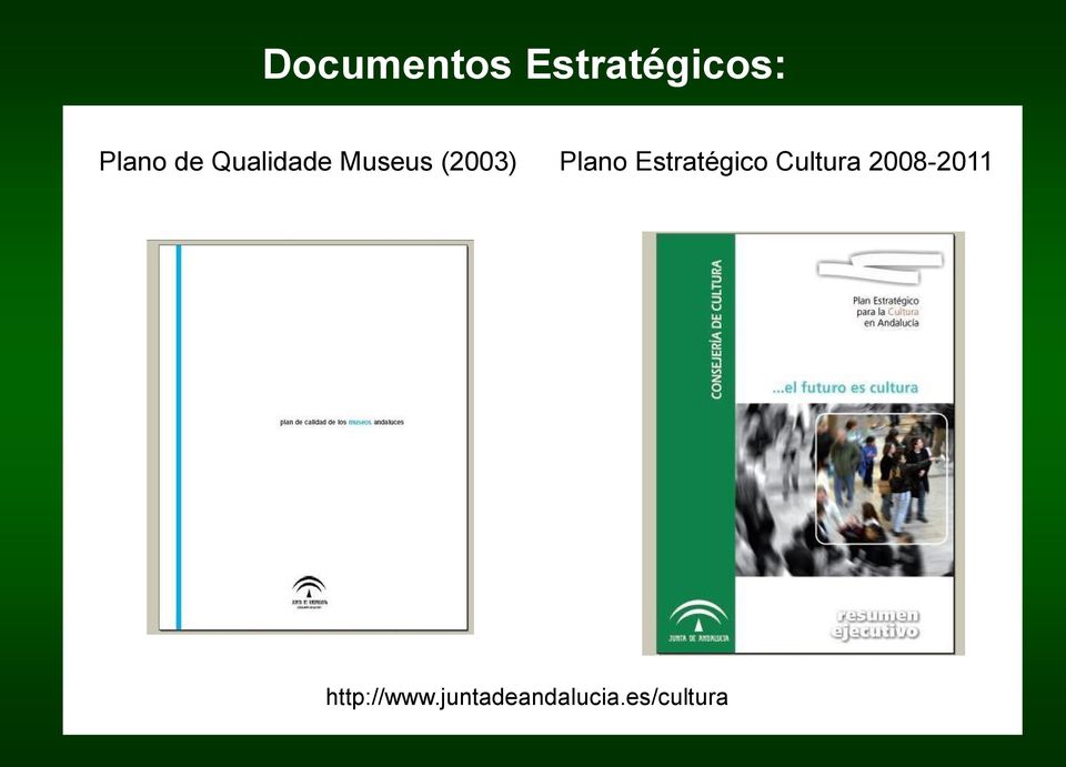 Estratégico Cultura 2008-2011