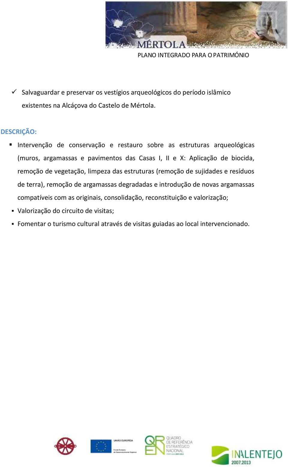 remoção de vegetação, limpeza das estruturas (remoção de sujidades e resíduos de terra), remoção de argamassas degradadas e introdução de novas