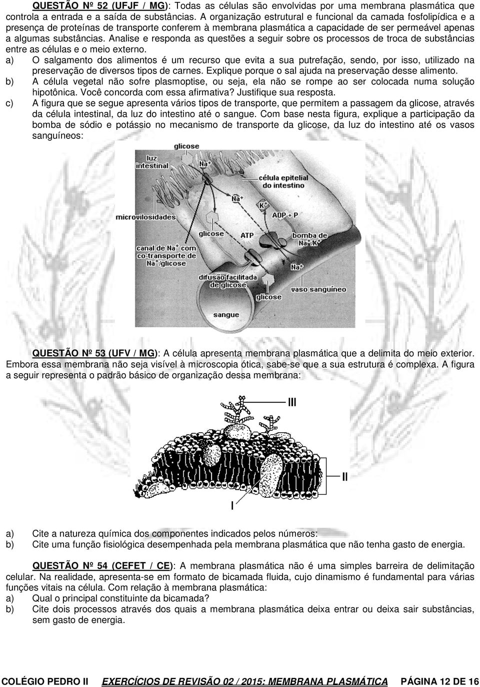 Analise e responda as questões a seguir sobre os processos de troca de substâncias entre as células e o meio externo.