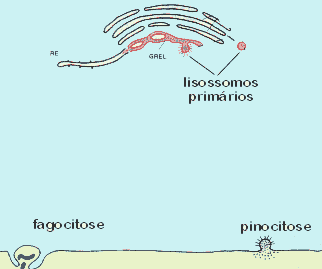 Animação Partículas