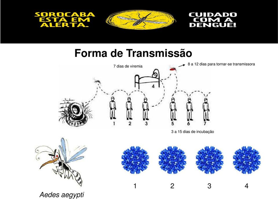 tornar-se transmissora 3 a 15