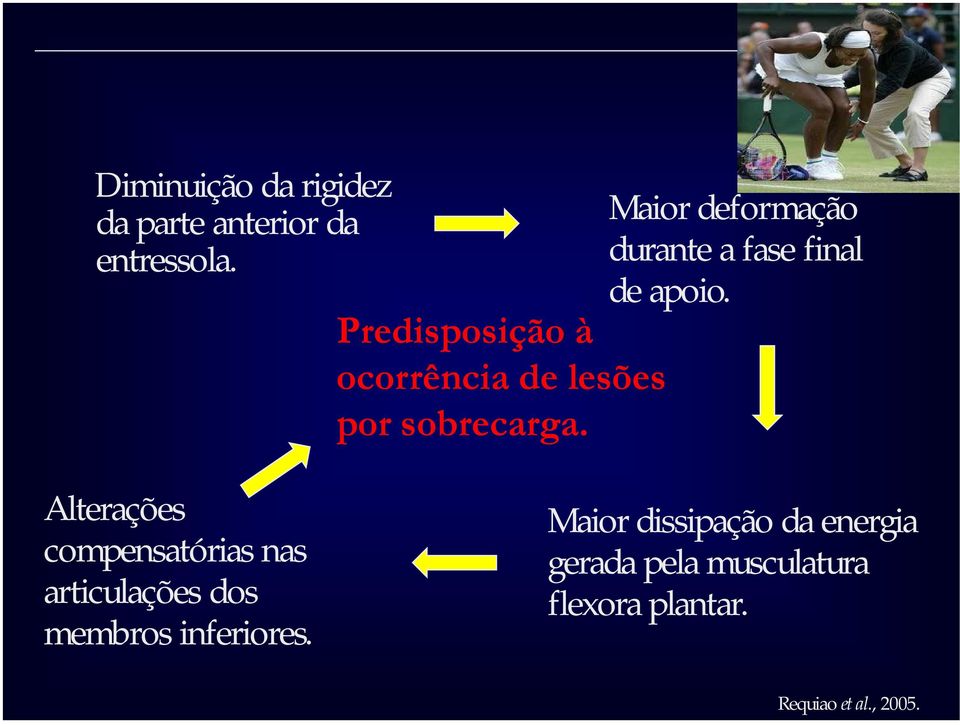 Maior deformação durante a fase final de apoio.