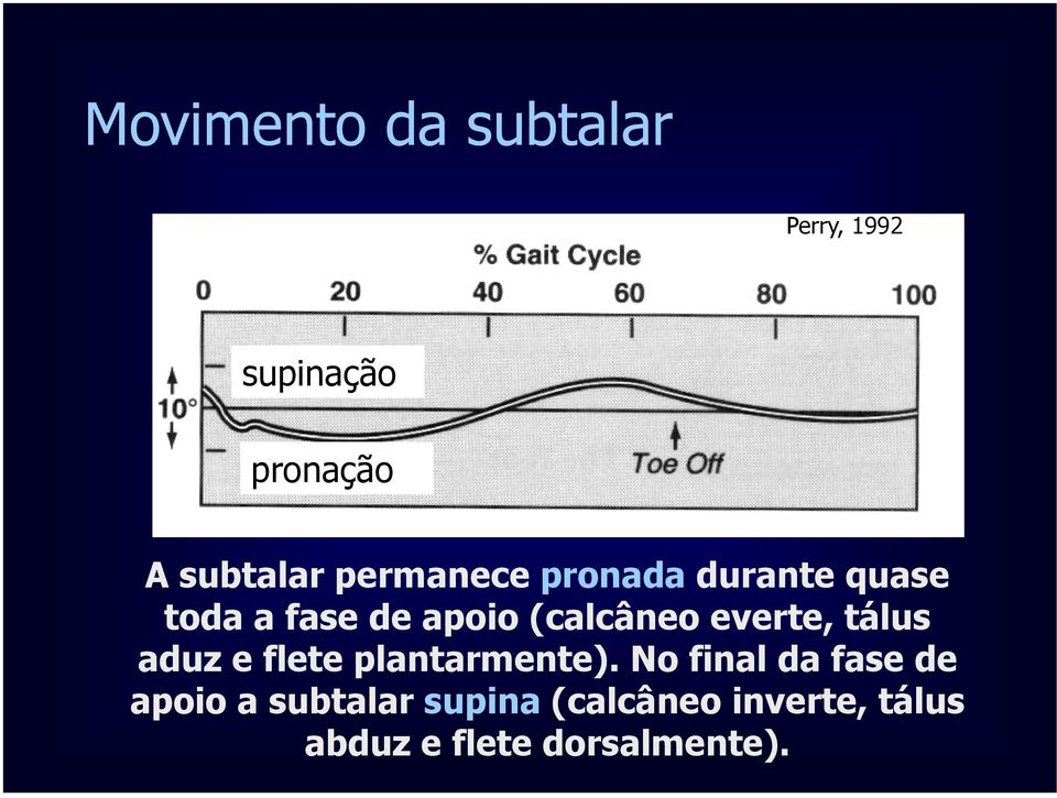 everte, tálus aduz e flete plantarmente).