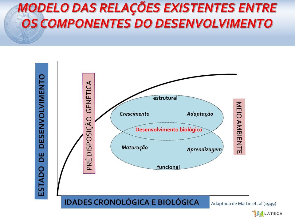 Aprendizagem funcional IDADES