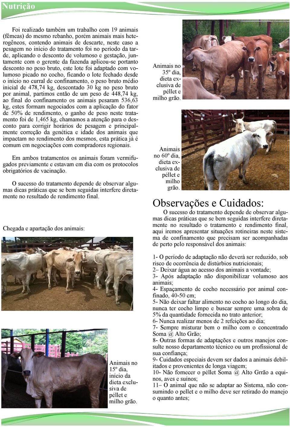 lote fechado desde o início no curral de confinamento, o peso bruto médio inicial de 478,74 kg, descontado 30 kg no peso bruto por animal, partimos então de um peso de 448,74 kg, ao final do