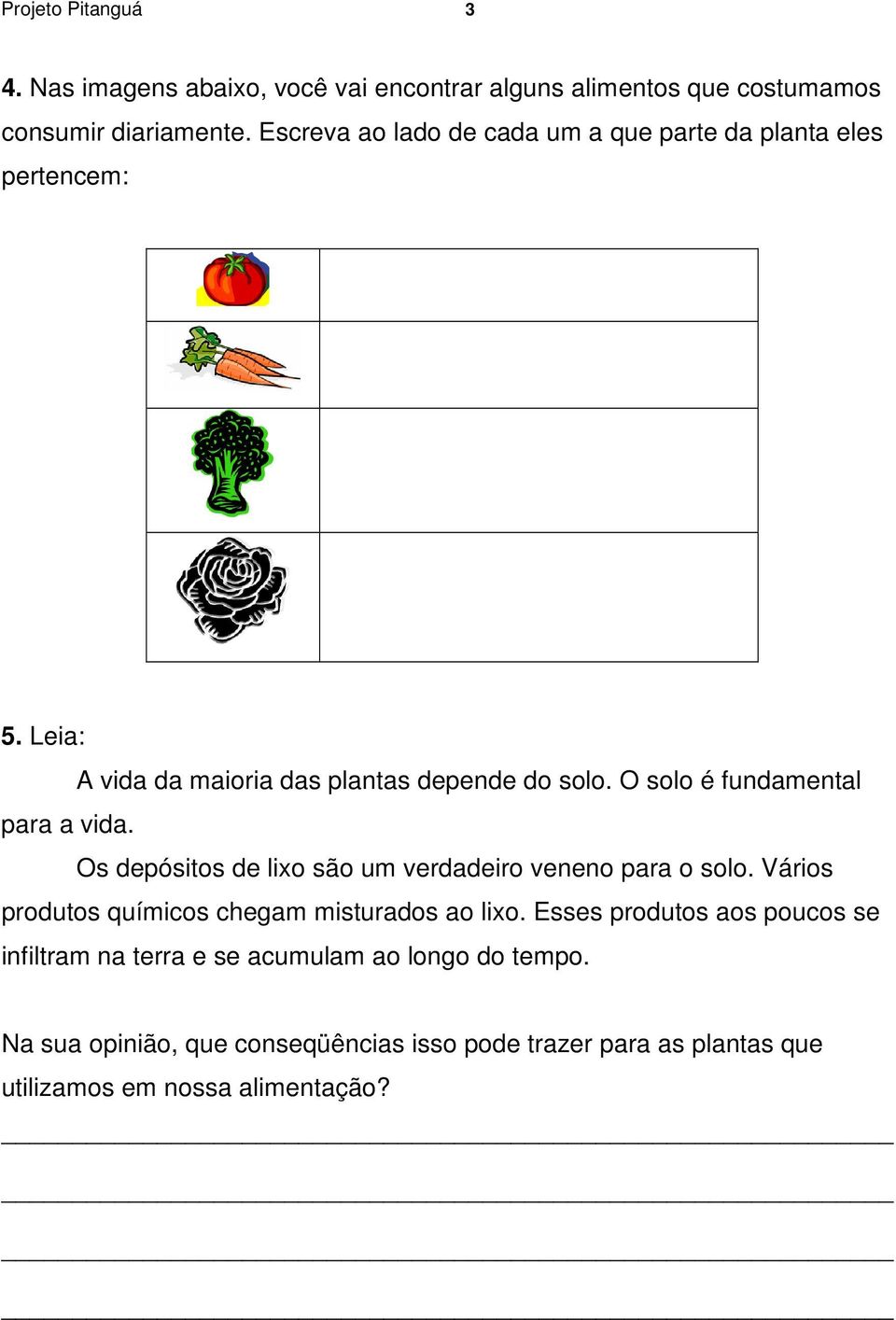 O solo é fundamental para a vida. Os depósitos de lixo são um verdadeiro veneno para o solo.