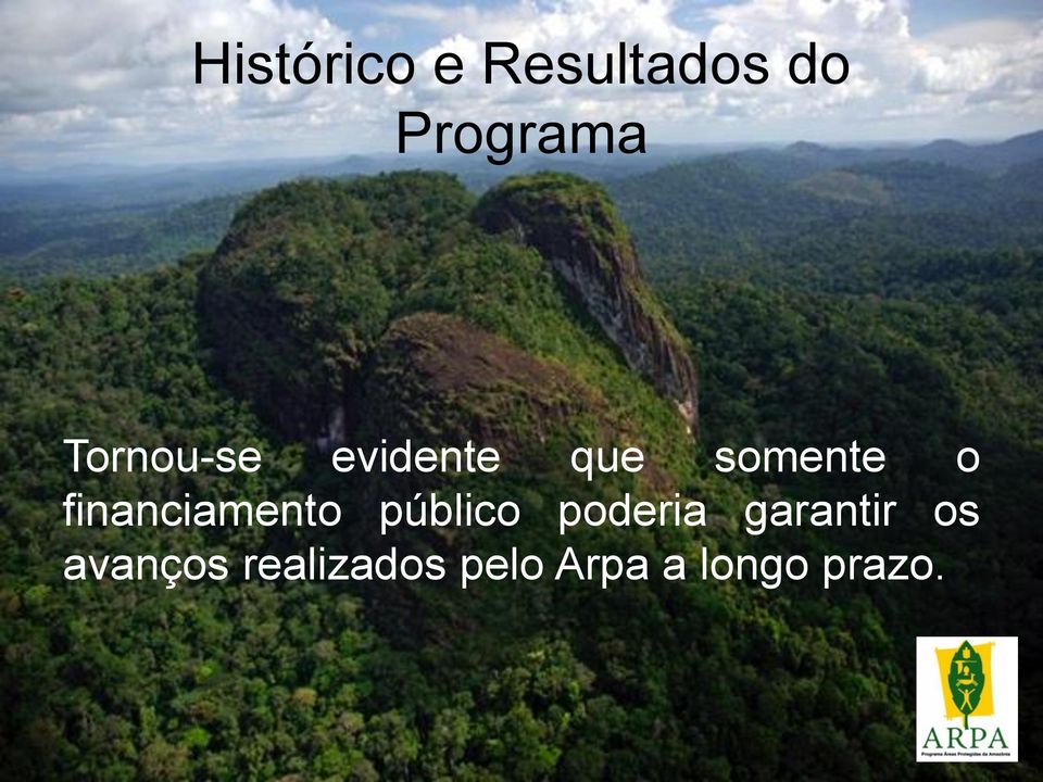 financiamento público poderia garantir