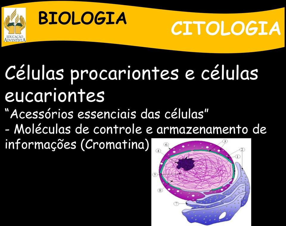 das células - Moléculas de controle