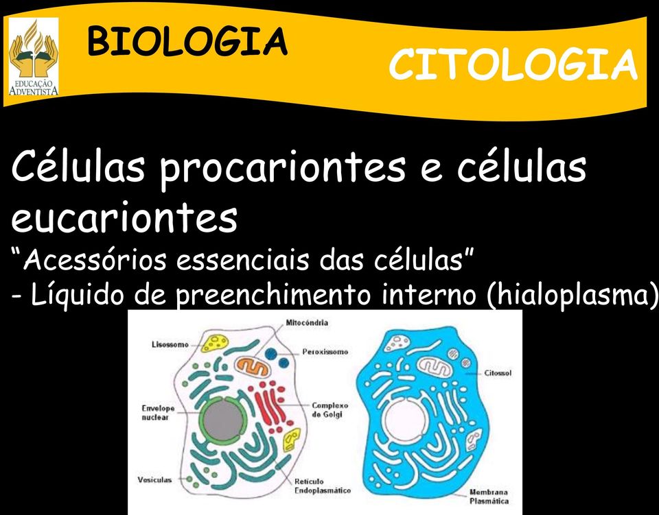 essenciais das células -