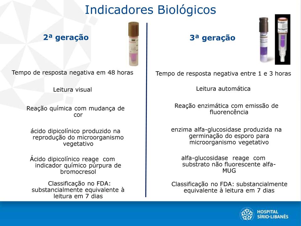 automática Reação enzimática com emissão de fluorencência enzima alfa-glucosidase produzida na germinação do esporo para microorganismo vegetativo alfa-glucosidase reage