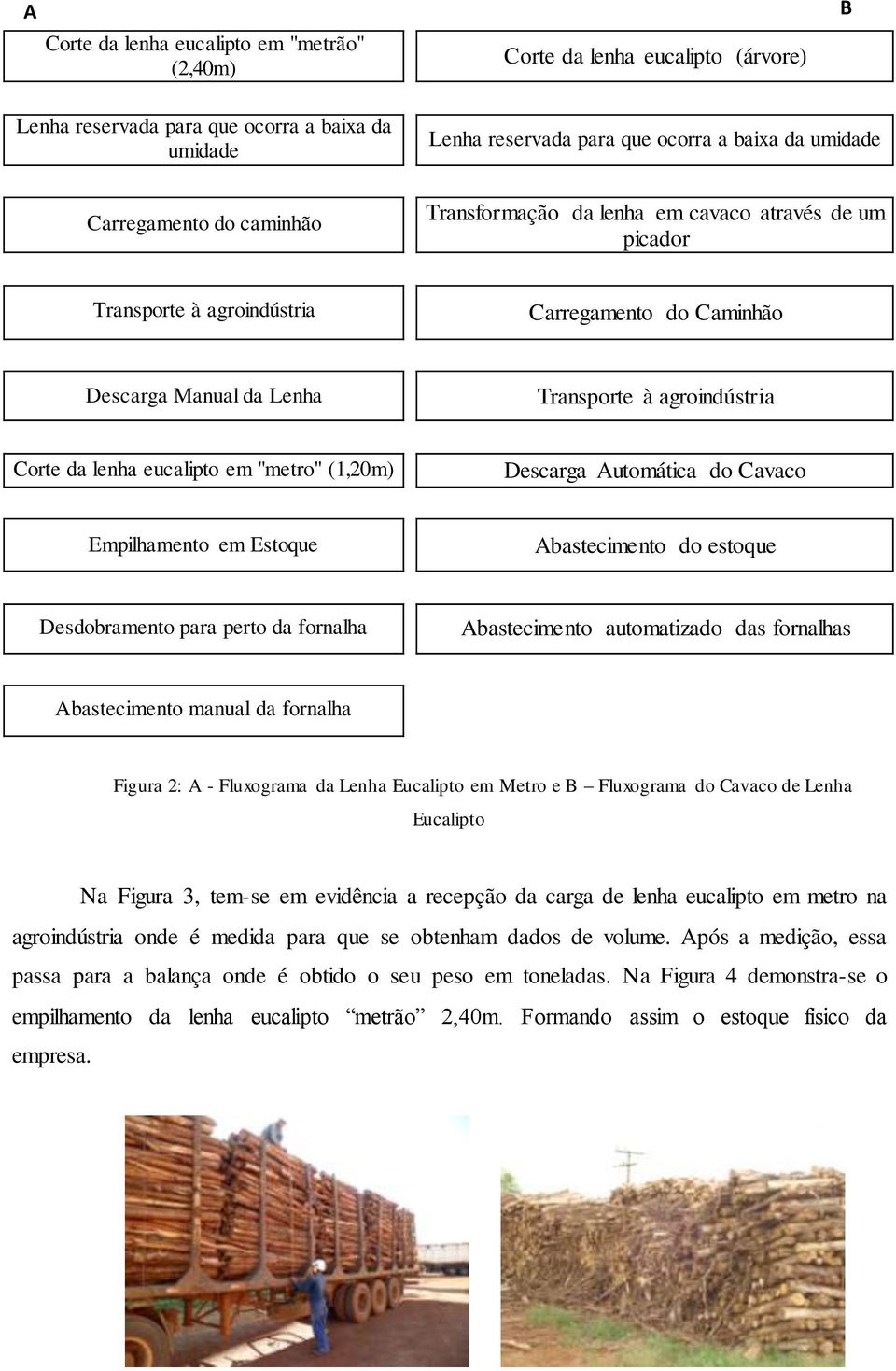 "metro" (1,20m) Descarga Automática do Cavaco Empilhamento em Estoque Abastecimento do estoque Desdobramento para perto da fornalha Abastecimento automatizado das fornalhas Abastecimento manual da