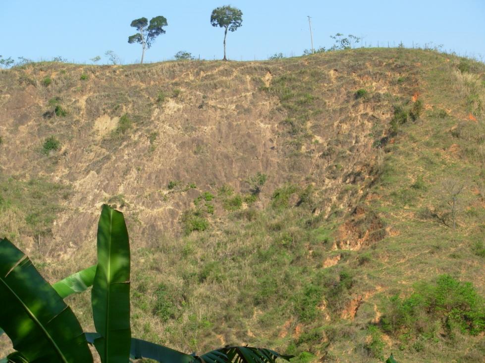 sobre distúrbios Área perturbada Menor diversidade de espécies Menor estrutura da fauna e flora Menor número de funções