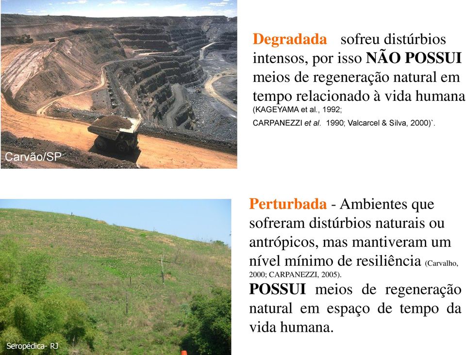 Carvão/SP Seropédica- RJ Perturbada - Ambientes que sofreram distúrbios naturais ou antrópicos, mas mantiveram