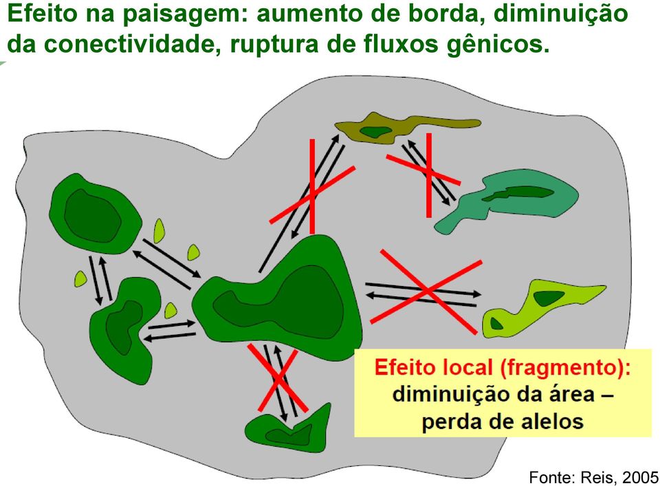 conectividade, ruptura de