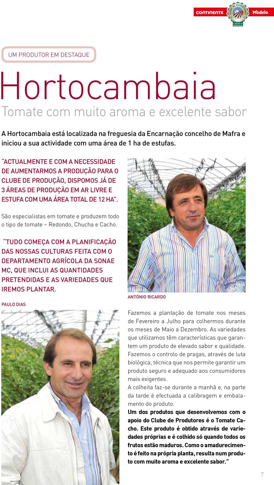 São especialistas em tomate e produzem todo o tipo de tomate Redondo, Chucha e Cacho.