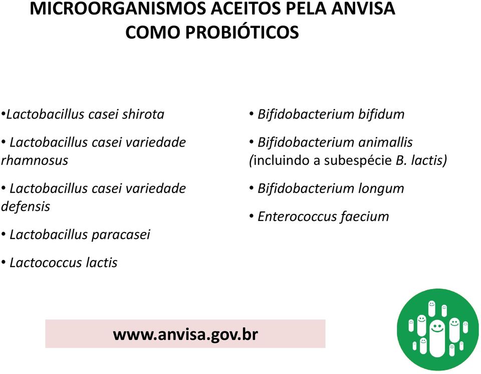 Lactobacillus paracasei Bifidobacterium bifidum Bifidobacterium animallis (incluindo a