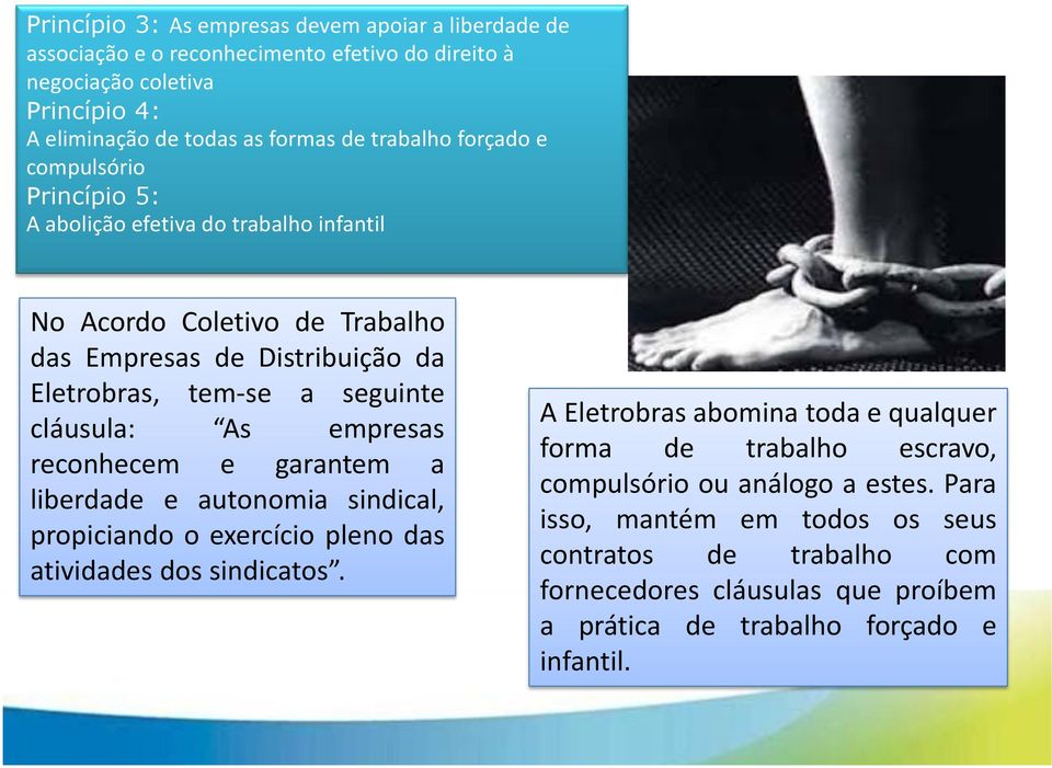 empresas reconhecem e garantem a liberdade e autonomia sindical, propiciando o exercício pleno das atividades dos sindicatos.