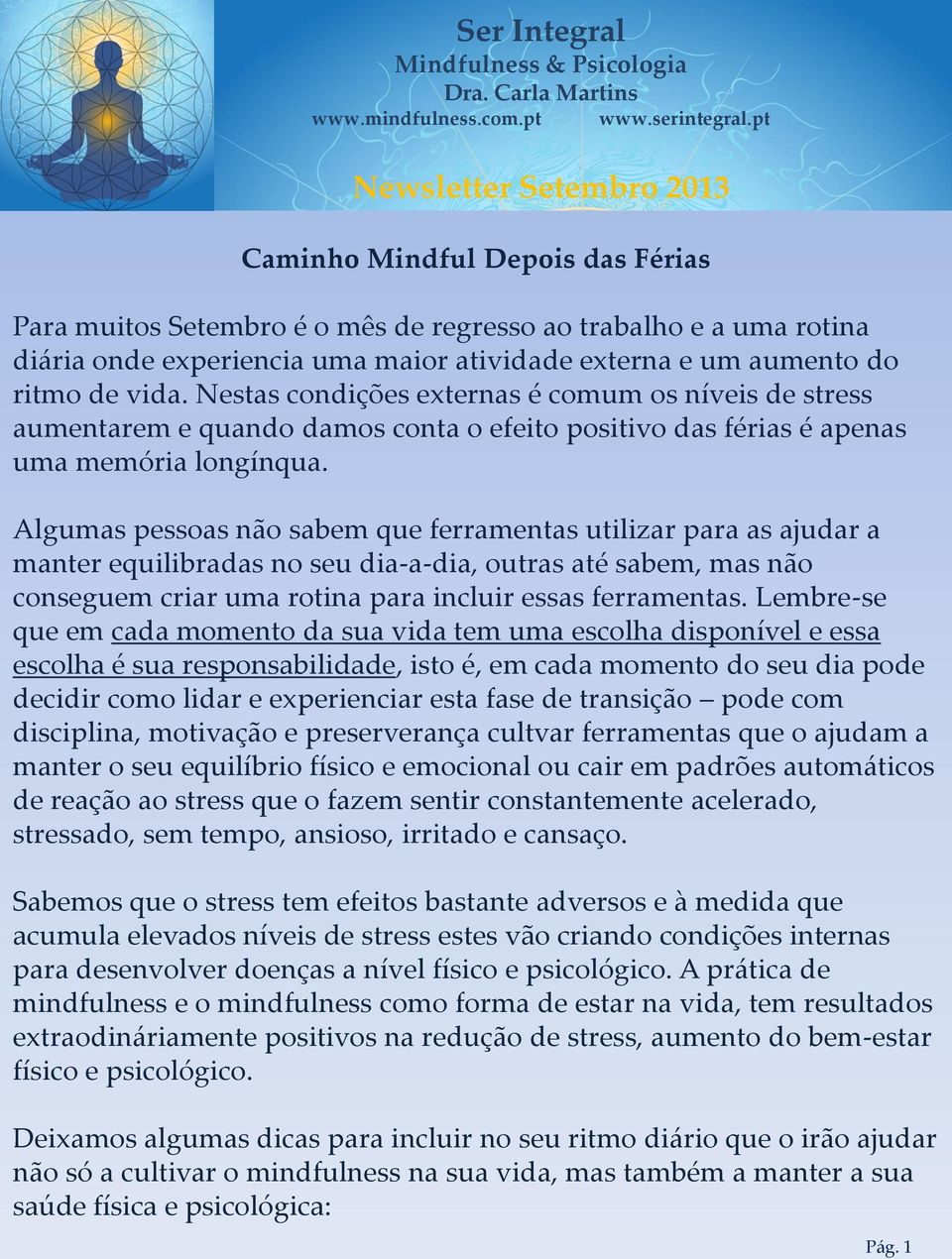 Algumas pessoas não sabem que ferramentas utilizar para as ajudar a manter equilibradas no seu dia-a-dia, outras até sabem, mas não conseguem criar uma rotina para incluir essas ferramentas.