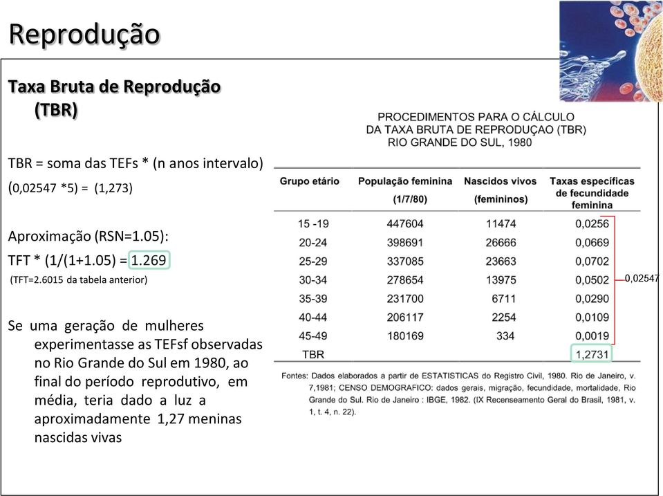 6015 da tabela anterior) 0,02547 Se uma geração de mulheres experimentasse as TEFsf observadas no